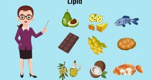 Vai trò của lipid trong thực phẩm