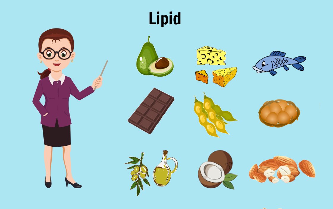 Vai trò của lipid trong thực phẩm