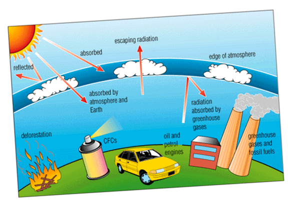 Nguyên nhân thủng tầng ozon