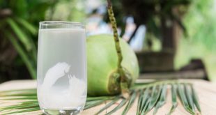 Bệnh thận có nên uống nước dừa?