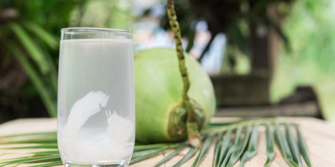 Bệnh thận có nên uống nước dừa?