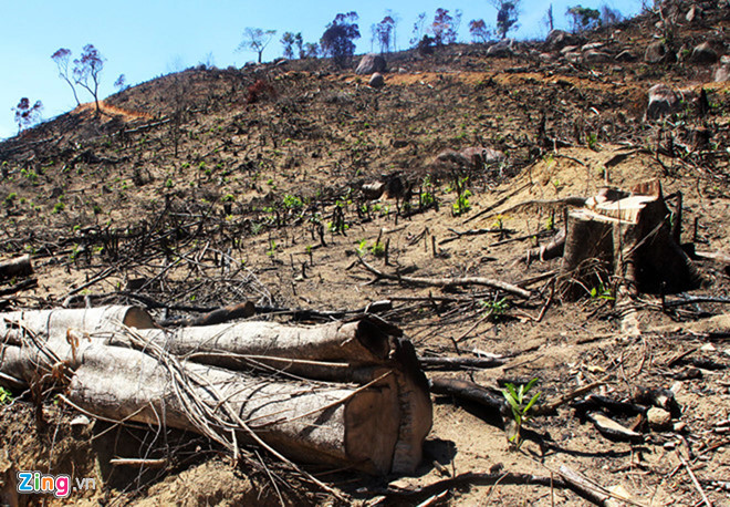Xói mòn đất do hậu quả của phá rừng đầu nguồn